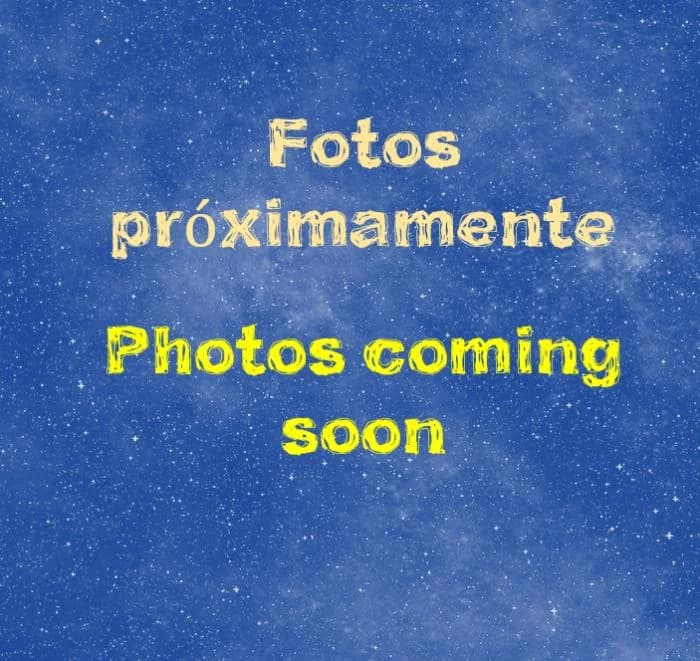 Grace, female puppy Belgian Malinois for adoption at Protectora Oriolana
