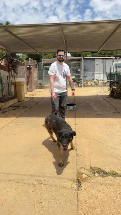 GIA, female mixed breed for adoption at Protectora Ayamonte