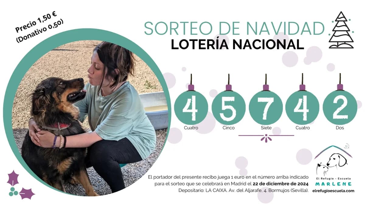 Sorteo, male young Mixed Breed for adoption at El Refugio Escuela Marlene, Seville