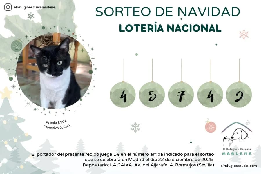 Sorteo, male Mixed Breed for adoption at El Refugio Escuela Marlene, Seville