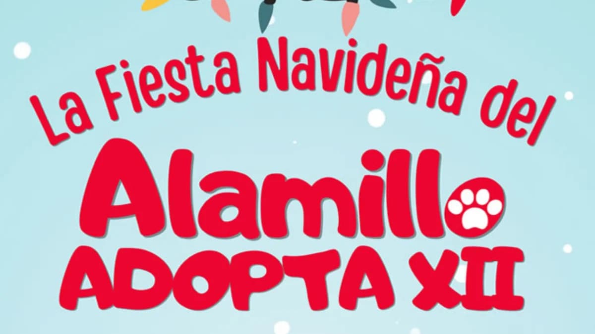 Ven, male Mixed Breed for adoption at El Refugio Escuela Marlene, Seville