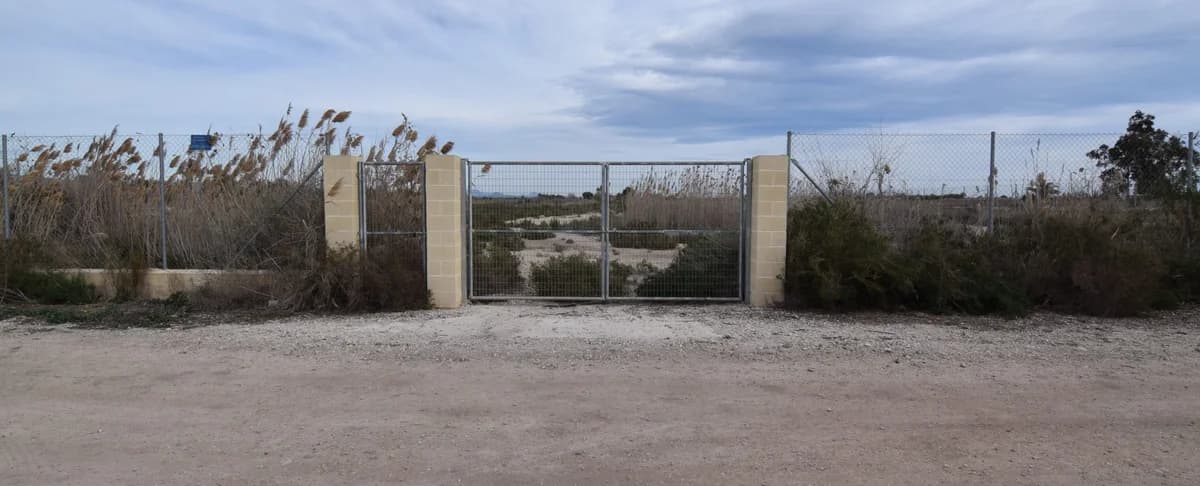 New Build Contract Signed, female 4yo Mixed Breed for adoption at SAT Animal Rescue Torrevieja