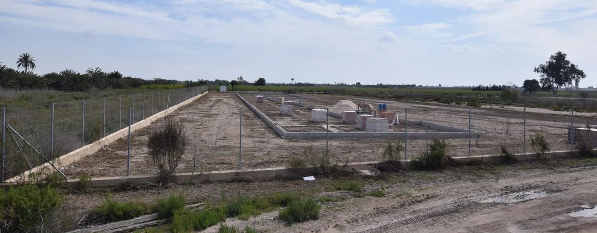 Work begins on site, female 4yo Mixed Breed for adoption at SAT Animal Rescue Torrevieja