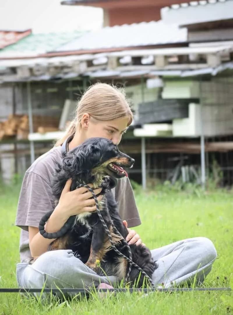 Mo, female 3yo Mixed Breed for adoption at Pet Rescue Finland, Helsinki