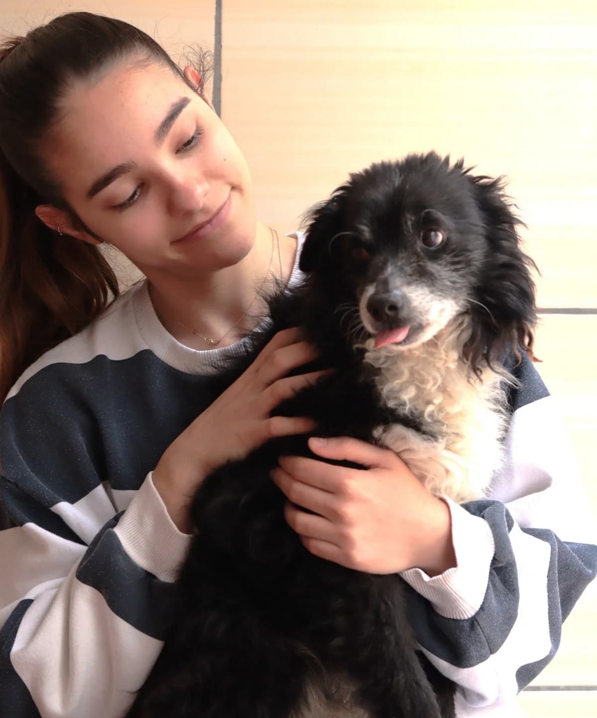 Tobi, male senior Mixed Breed for adoption at 4 Pattes Sans Frontieres