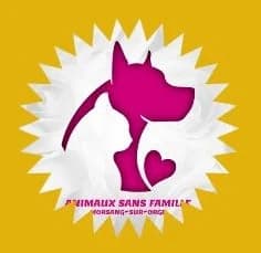 Sherry, 5yo Mixed Breed for adoption at Animaux sans famille, animaux sans famille
