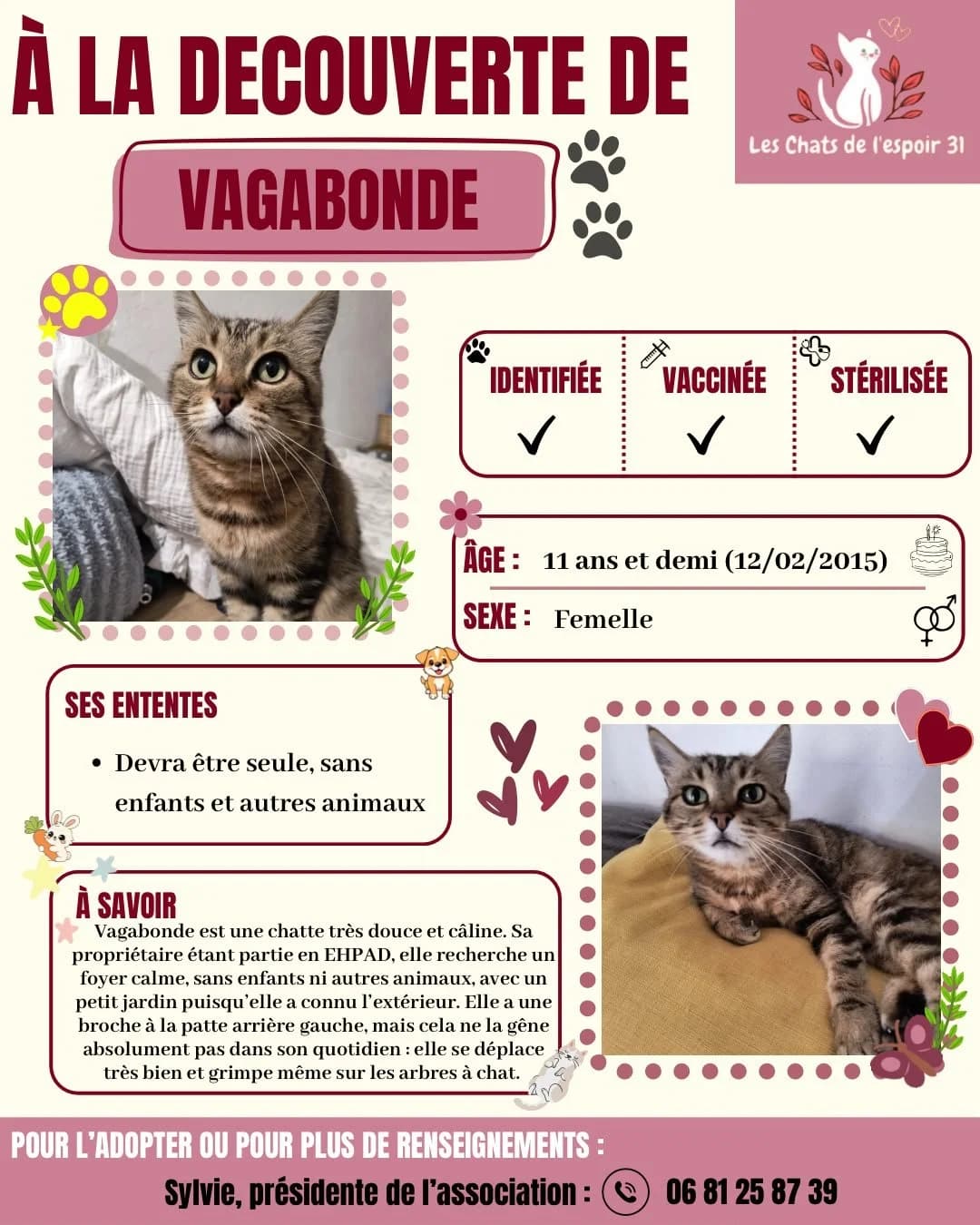 vagabonde.jfif, Mixed Breed for adoption at Les Chats de l