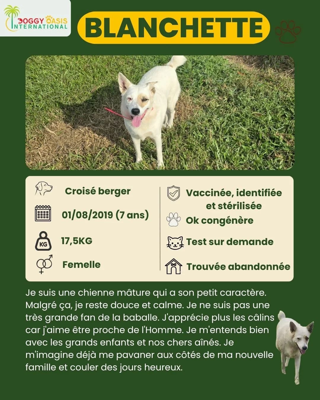 fiche Blanchette, Mixed Breed for adoption at Doggy Oasis International