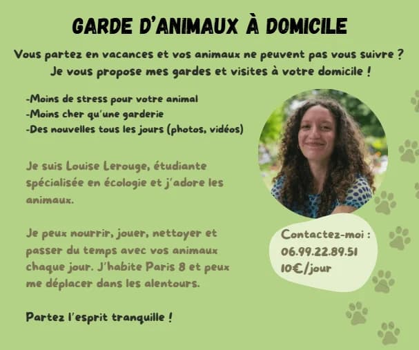 Cat Sitter de confiance qui se déplace à domicile pour votre chat, young Mixed Breed for adoption at École du Chat de Drancy