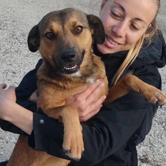 BALTO, 6yo Mixed Breed for adoption at Happy Dogs Forever, happy dogs forever