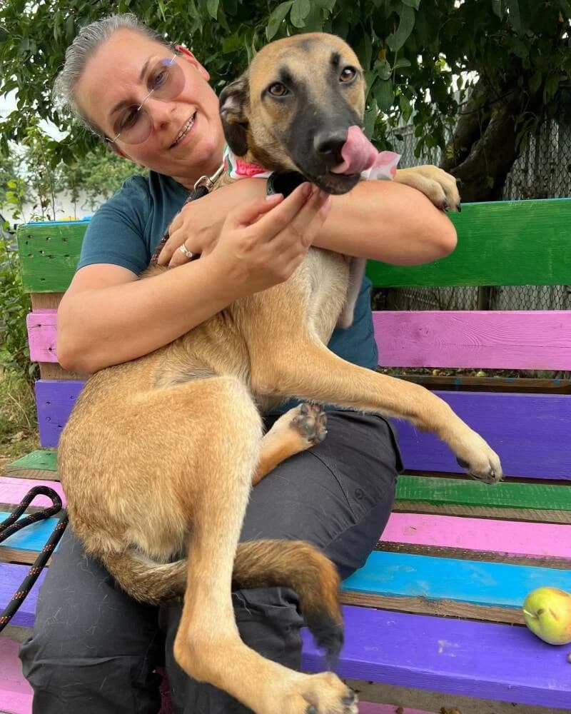 ASHA, female puppy Mixed Breed for adoption at L, l arche de kala