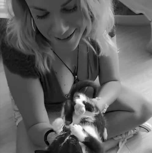 Cat, Mixed Breed for adoption at Océan de Bonheur
