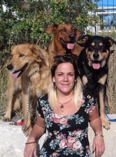 Dog, Mixed Breed for adoption at Océan de Bonheur