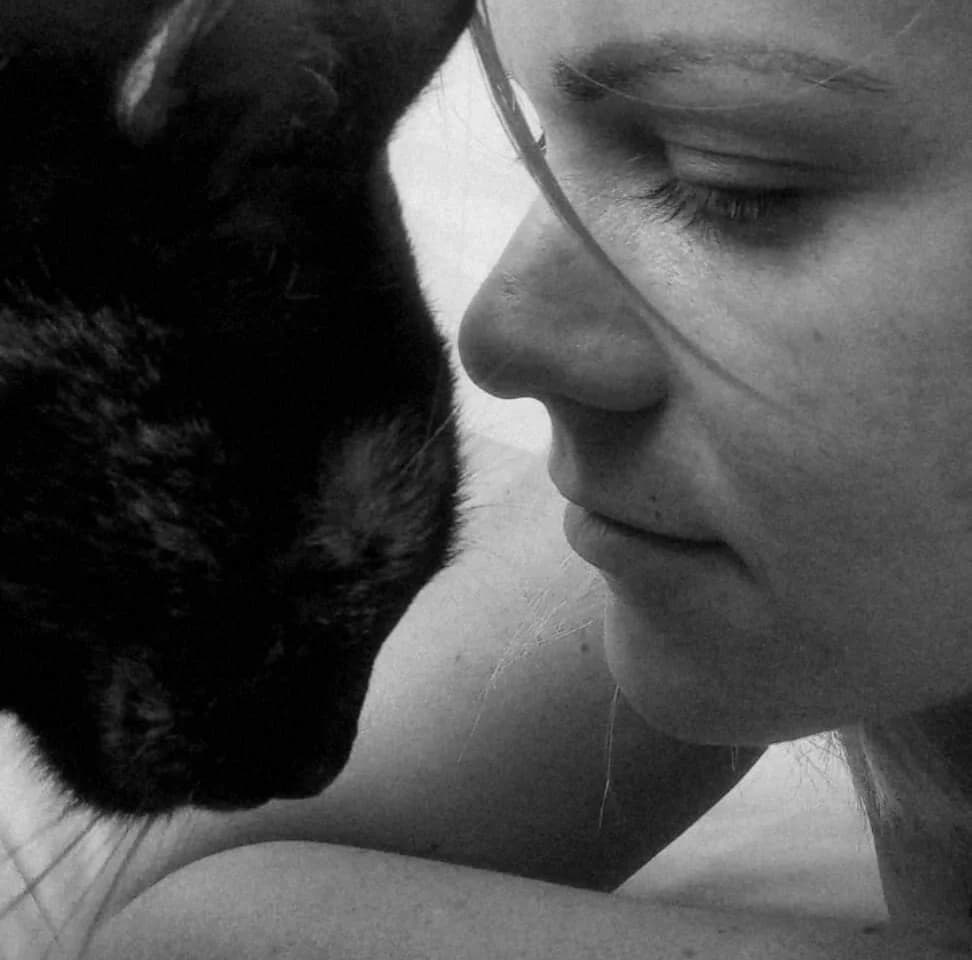 Cat, Mixed Breed for adoption at Océan de Bonheur