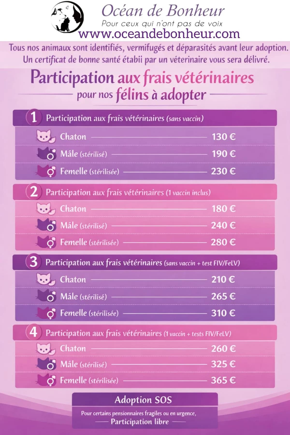 Chat, Mixed Breed for adoption at Océan de Bonheur
