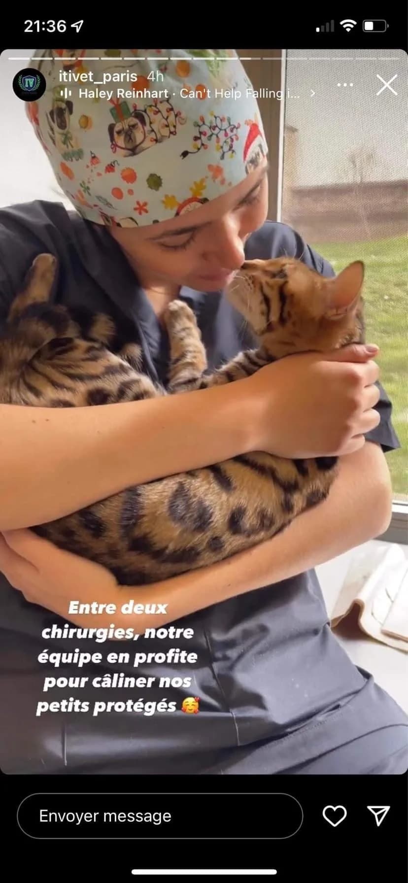 SARABI, female young Bengal for adoption at La Patte de l