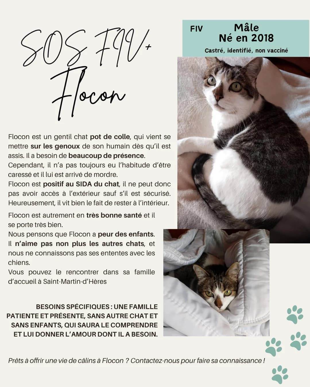 Flocon SOS, Mixed Breed for adoption at Refuge Droit de Vivre