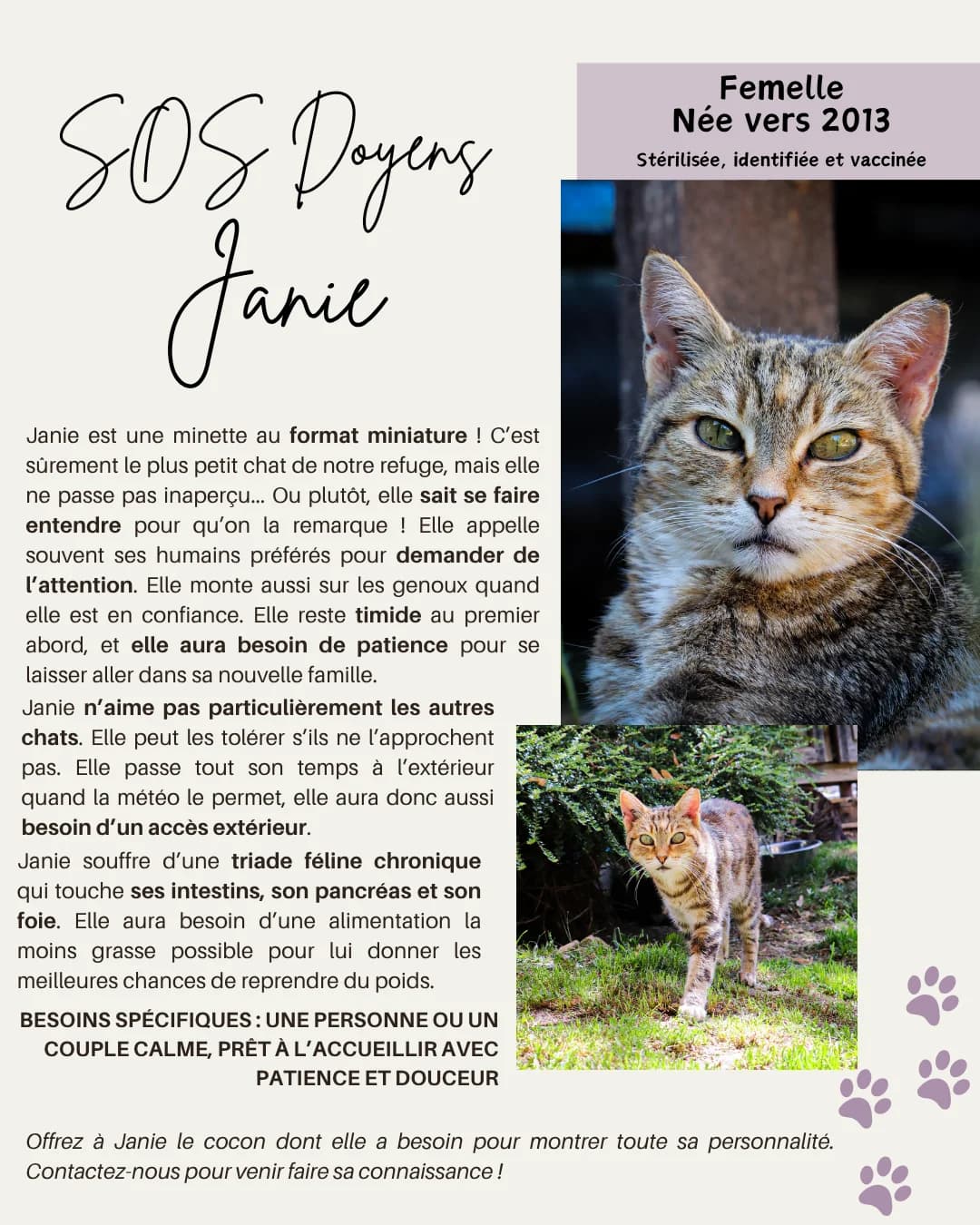 Janie, Mixed Breed for adoption at Refuge Droit de Vivre