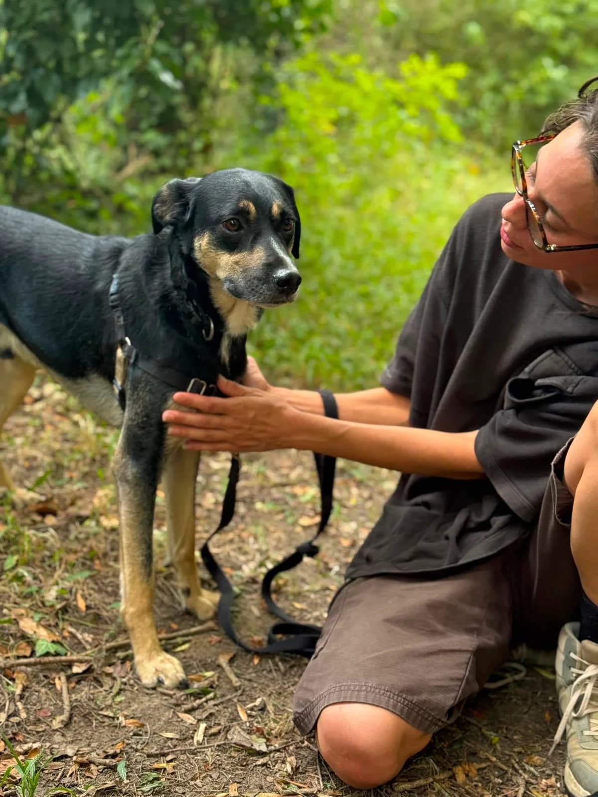 LUKY, female Mixed Breed for adoption at Refuge Gerbey, Chonas-l'Amballan