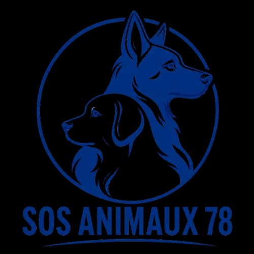 LAY, 5yo Mixed Breed for adoption at SOS Animaux 78, sos animaux 78