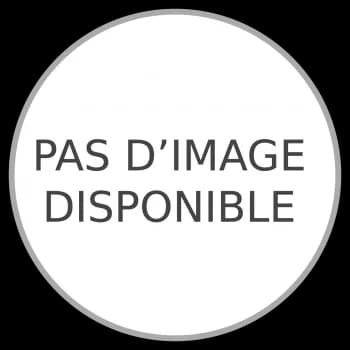 Pas de, female 4yo Belgian Malinois for adoption at SPA DDA de Béziers et sa région