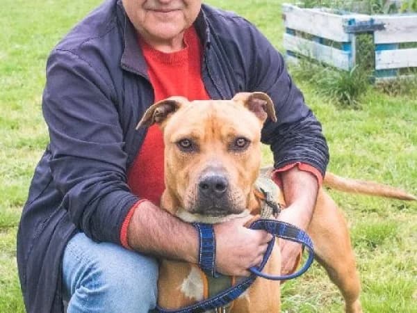 DIEGO, Mixed Breed for adoption at SPA de Mulhouse, Mulhouse