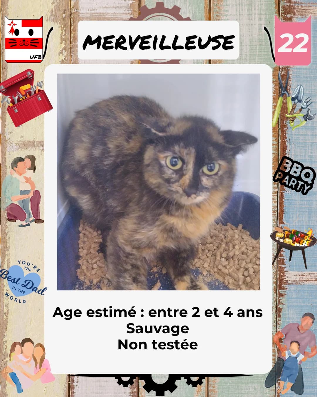 Merveilleuse, Mixed Breed for adoption at Urgences Fourrières Bretagne
