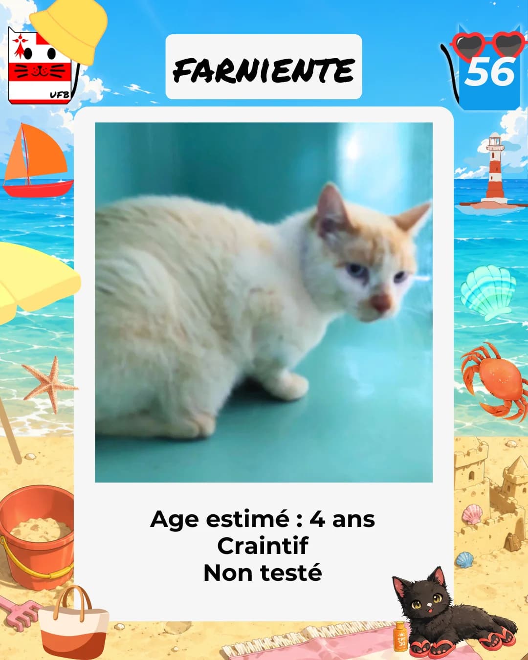 Farniente, Mixed Breed for adoption at Urgences Fourrières Bretagne