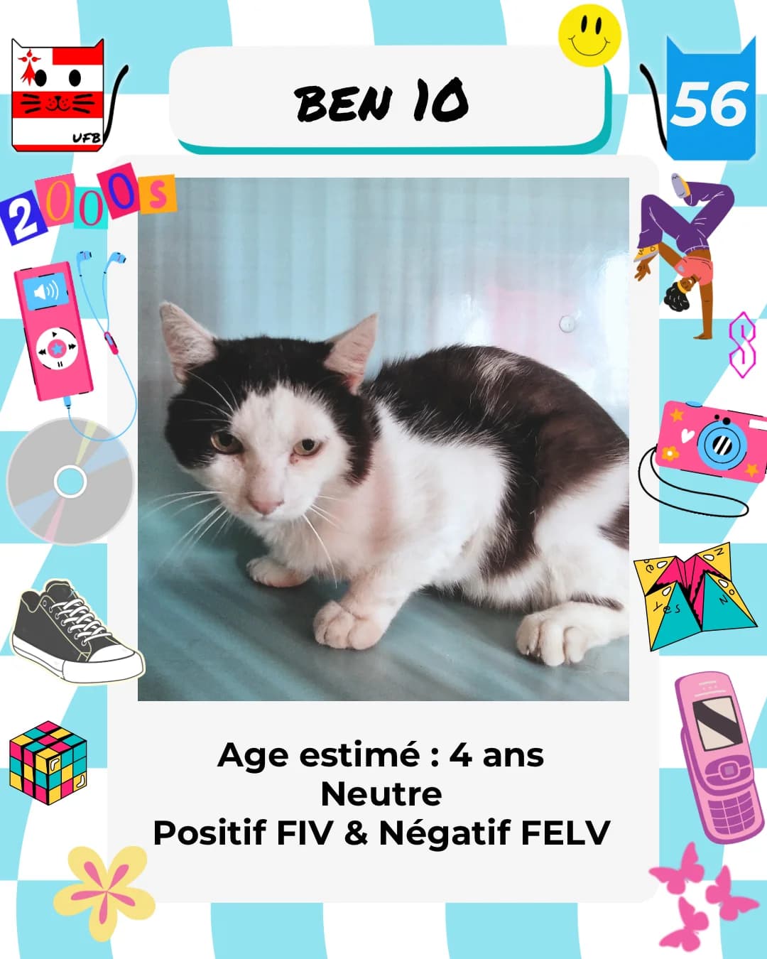 Ben 10, Mixed Breed for adoption at Urgences Fourrières Bretagne
