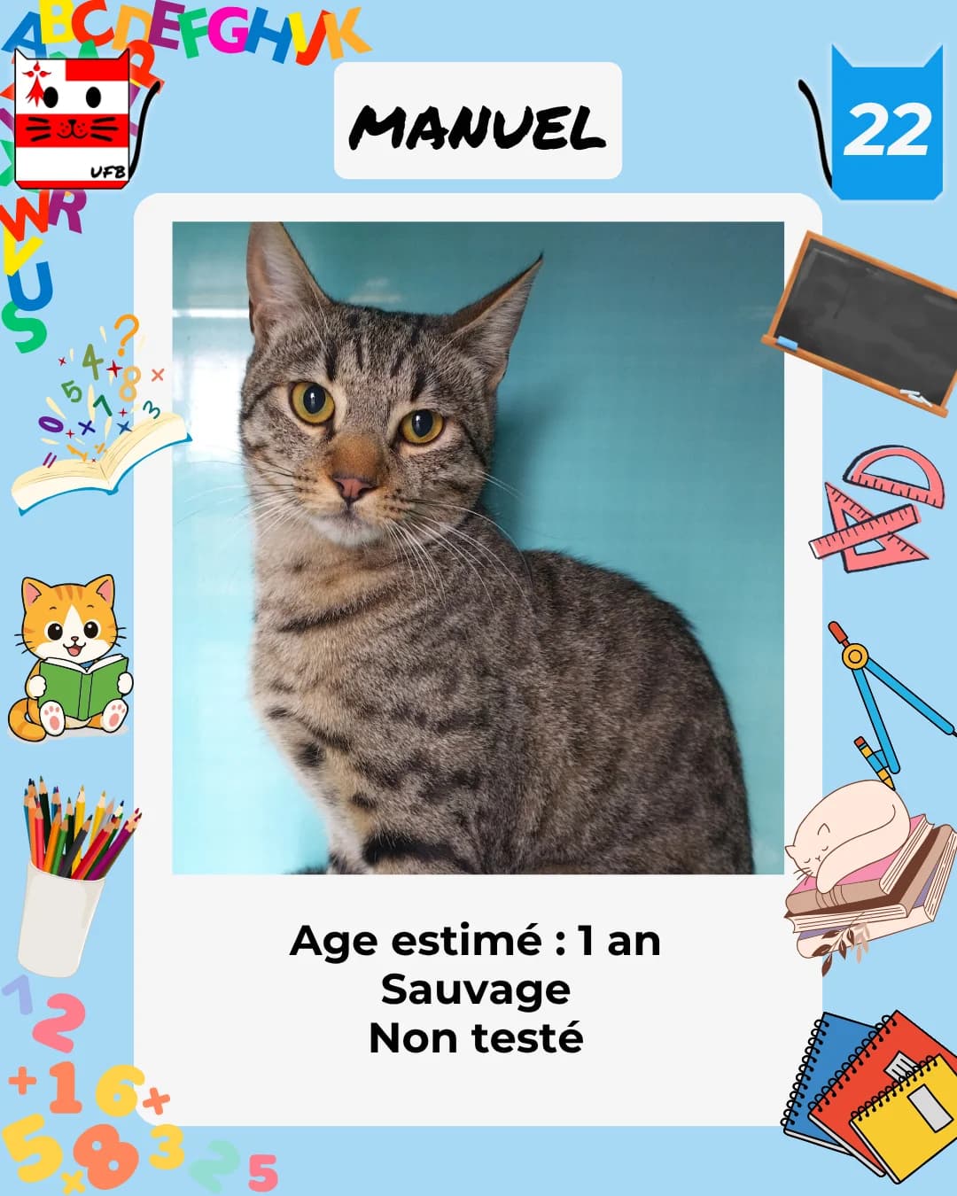 Manuel, Mixed Breed for adoption at Urgences Fourrières Bretagne