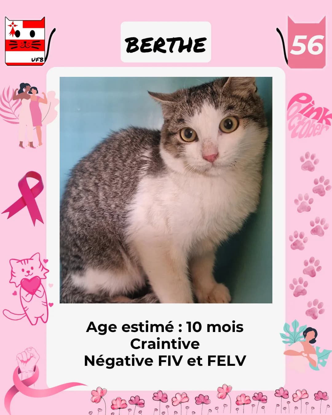 Berthe, Mixed Breed for adoption at Urgences Fourrières Bretagne
