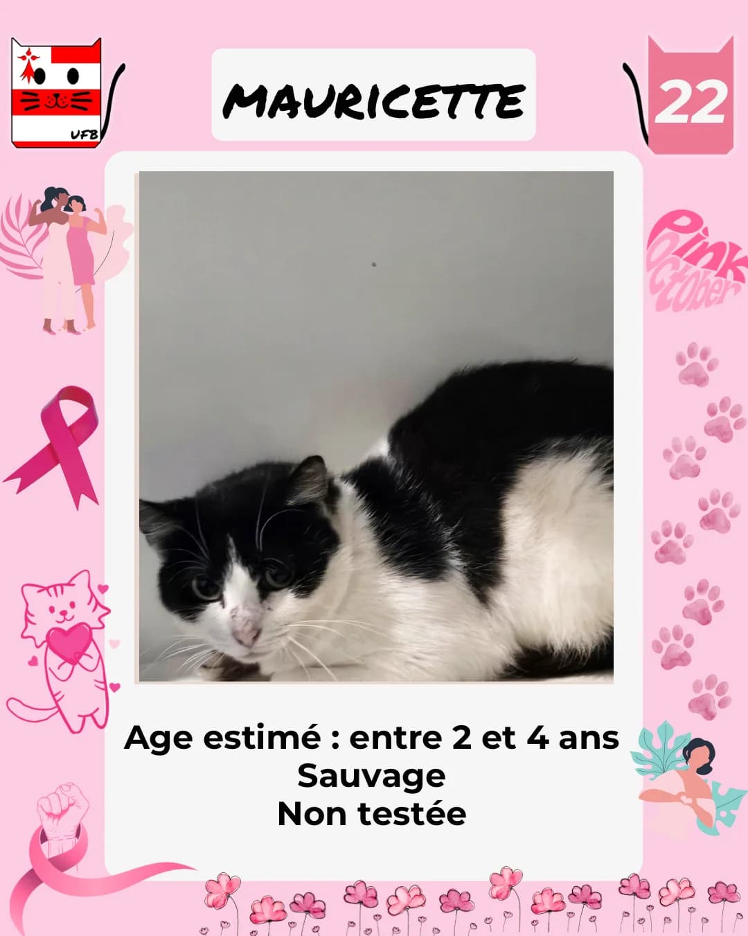 Mauricette, Mixed Breed for adoption at Urgences Fourrières Bretagne