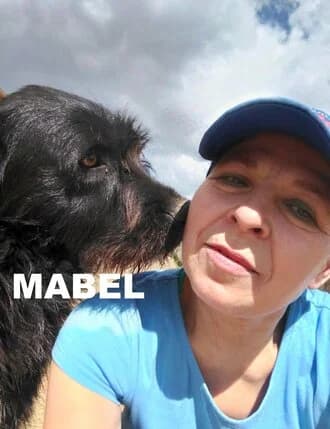 MABEL, Mixed Breed for adoption at Amicii Dog Rescue