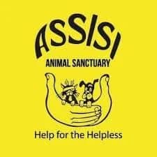 Fable, male Mixed Breed for adoption at Assisi Animal Sanctuary