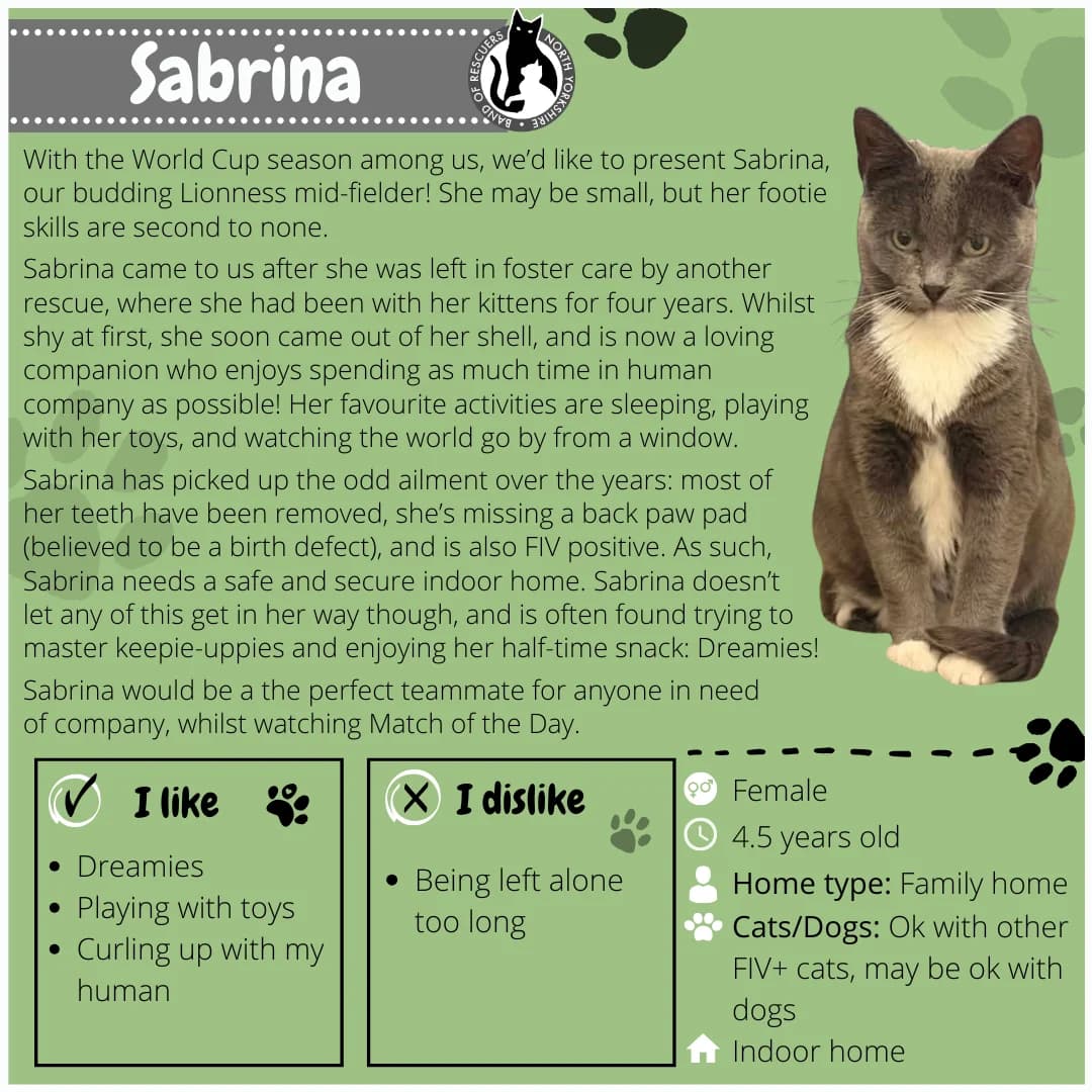 Sabrina, Mixed Breed for adoption at Band of Rescuers North Yorkshire