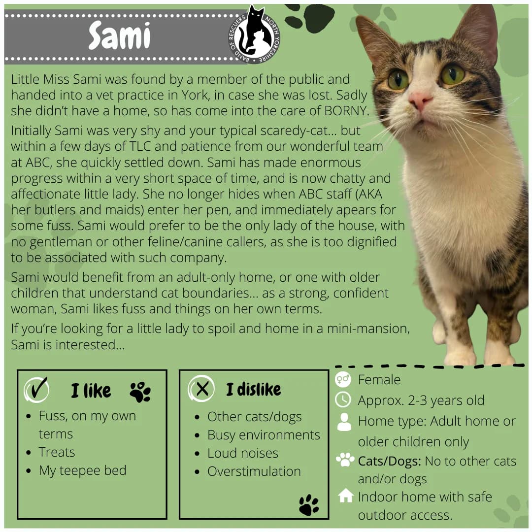 Sami, Mixed Breed for adoption at Band of Rescuers North Yorkshire