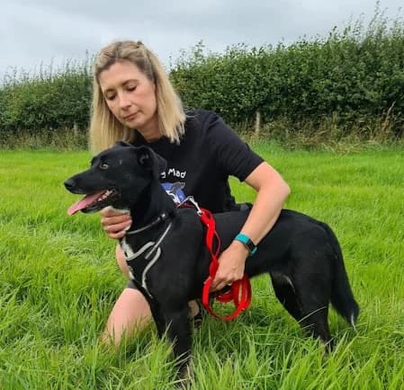 Lottie, Nov 2023 (Lanarkshire), female Mixed Breed for adoption at Barking Mad Dog Rescue