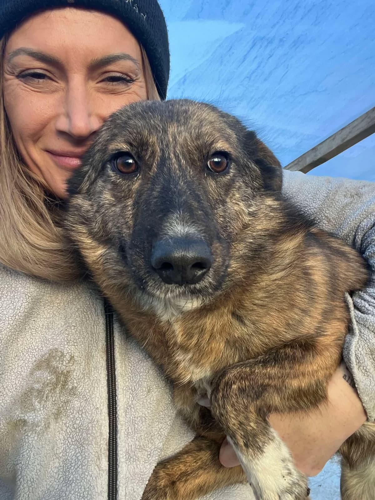 Melissa, July 2021, female Mixed Breed for adoption at Barking Mad Dog Rescue