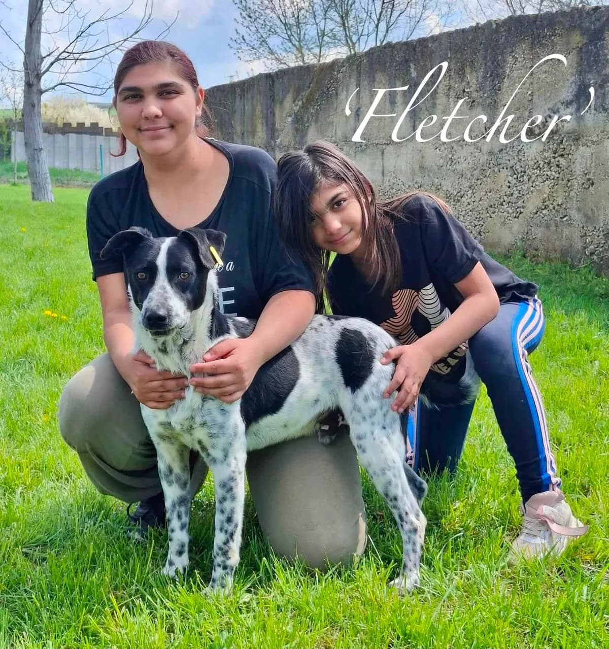 Fletcher, male Mixed Breed for adoption at Break the Chains for Dogs BG/UK