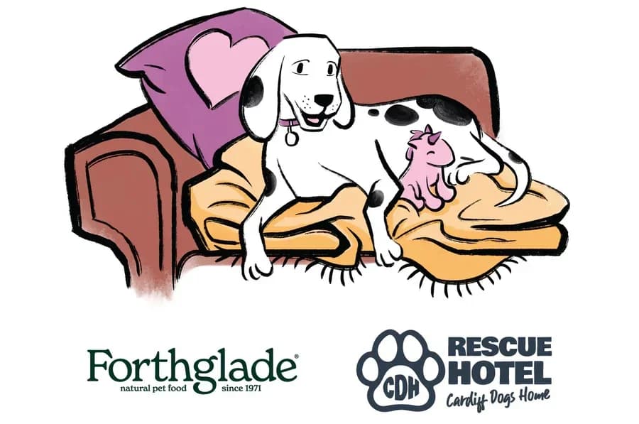 Thank you Forthglade, puppy Mixed Breed for adoption at Cardiff Dogs Home / The Rescue Hotel