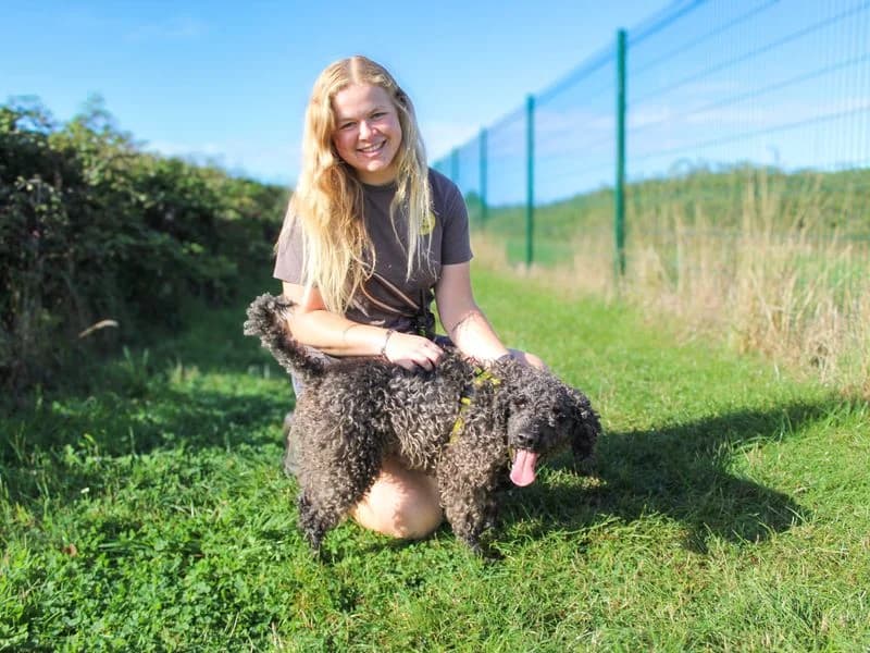Olly, male 5yo Cocker Spaniel for adoption at Dogs Trust Shoreham, Shoreham by Sea