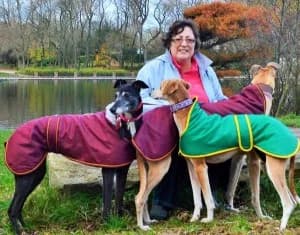 Dog page_id_436, female Mixed Breed for adoption at Erinhounds, UK