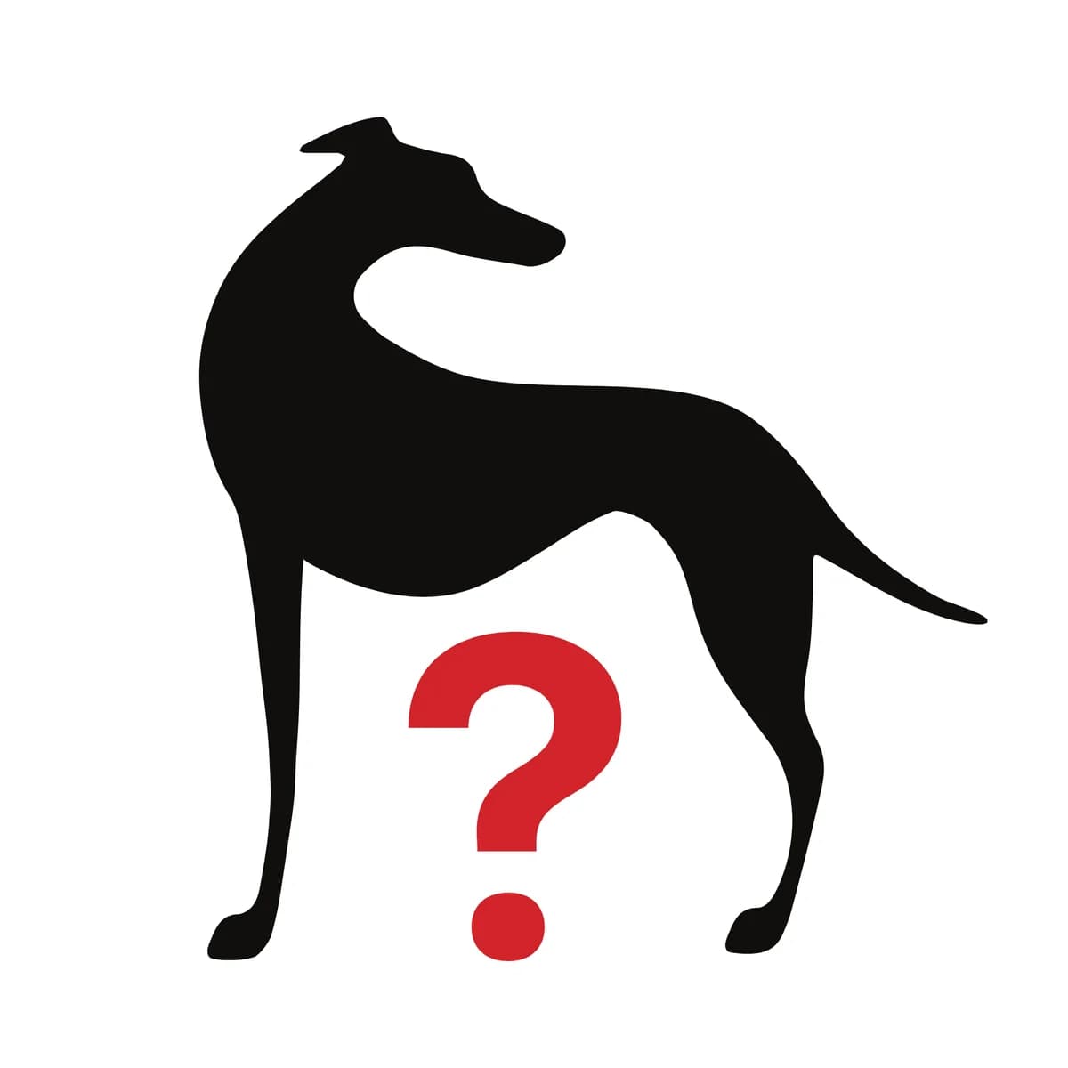 A Dog For You, puppy mixed breed for adoption at Forever Hounds Trust, Cirencester