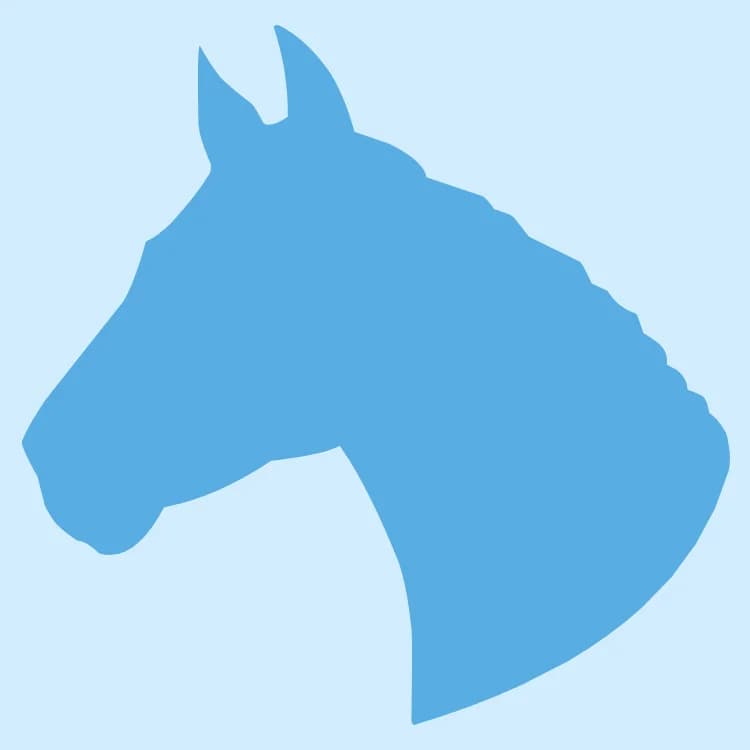 Senior Shetland Pony, female senior mixed breed for adoption at Many Tears Animal Rescue