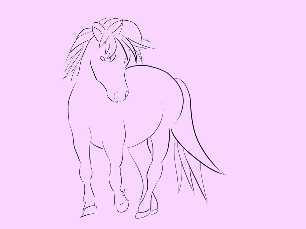 Gelding, mixed breed for adoption at Munchkins Miniature Shetland Rescue