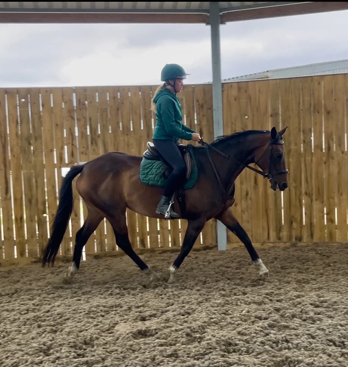 Lilly Under Assessment, senior mixed breed for adoption at New Beginnings Horses