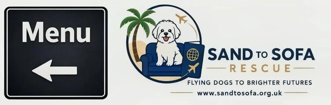 Almas, female puppy Mixed Breed for adoption at Sand to Sofa Rescue