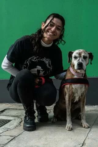 IRA (ΗΡΑ), 7yo Mixed Breed for adoption at Dogs Voice, Athens