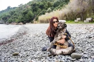 Zina (Ζίνα), female 7yo Mixed Breed for adoption at Dogs Voice, Athens