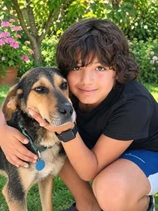 ChARIS 2,5 ETON (ΧΑΡΗΣ 2,5 ΕΤΩΝ), male 3yo Mixed Breed for adoption at Dogs Voice, Athens